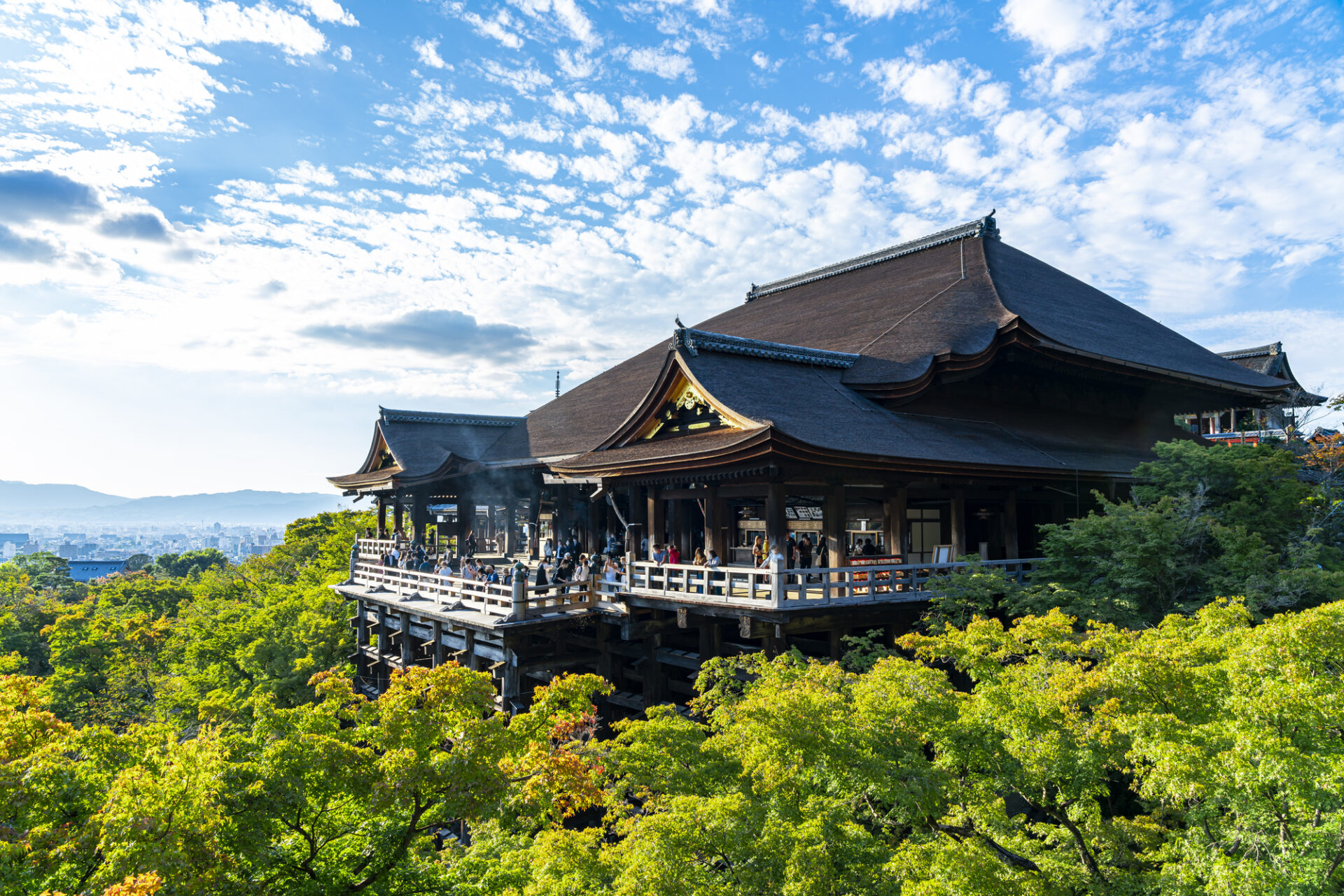 Kansai — Our Specialty
