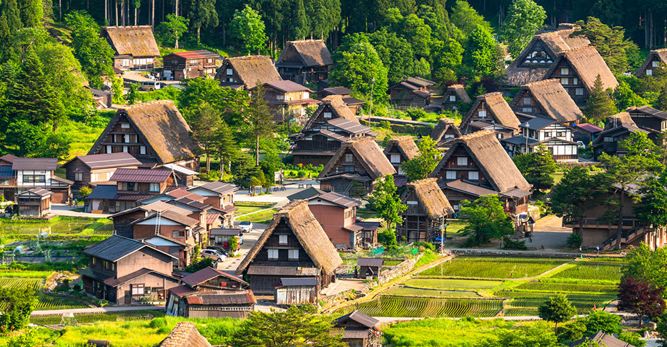 Shirakawa-go thatched roofs