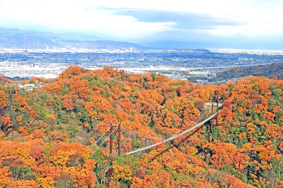Hoshino Buranko suspension bridge in autumn